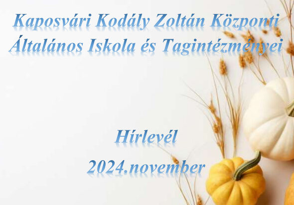 2024 novemberi hírlevél