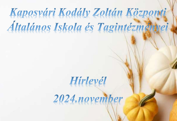 2024 novemberi hírlevél